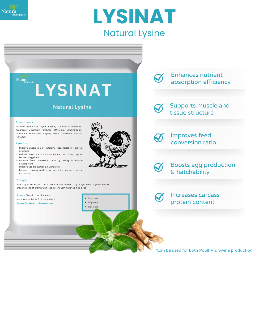 LYSINAT
