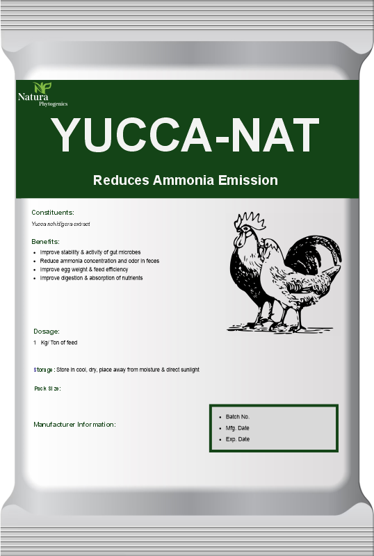 YUCCA-NAT