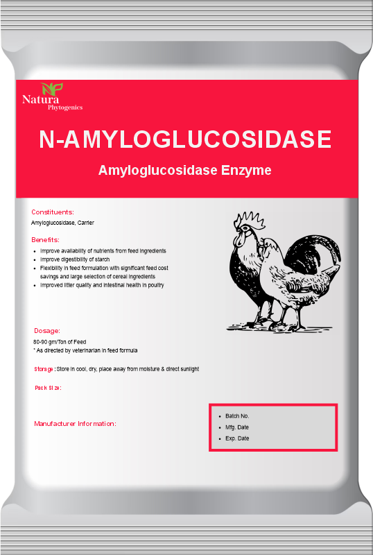 N-AMYLOGLUCOSIDASE