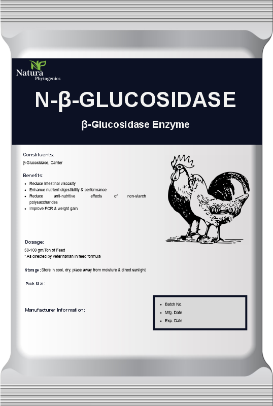 N-BETA-GLUCOSIDASE