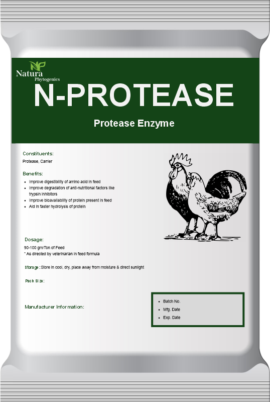 N-PROTEASE