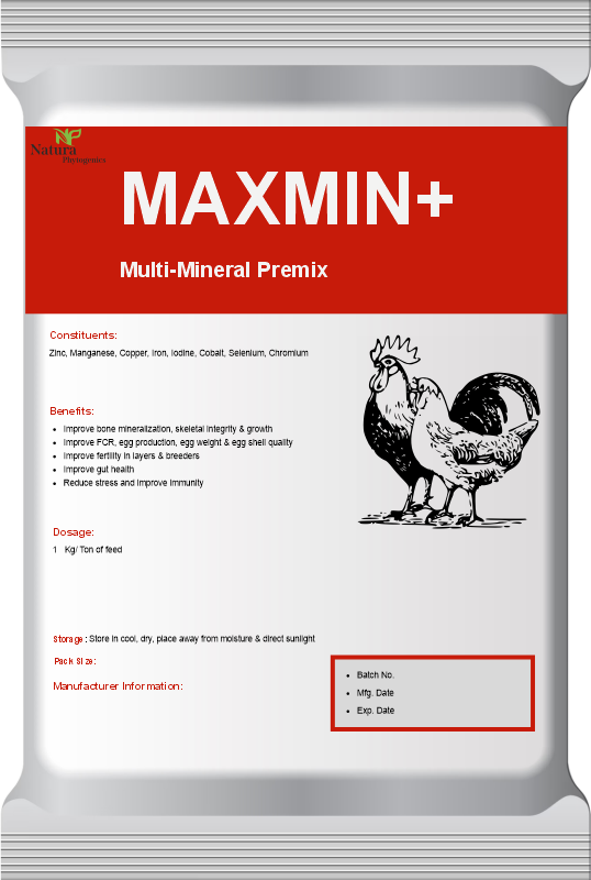 MAXMIN+