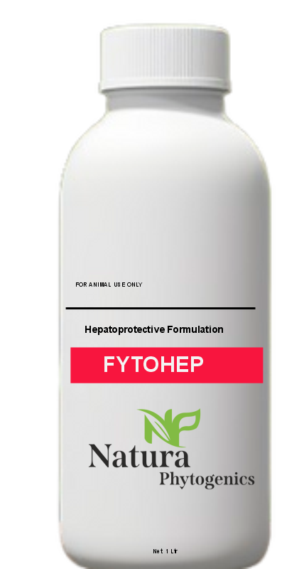 FYTOHEP
