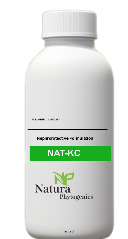 NATKC