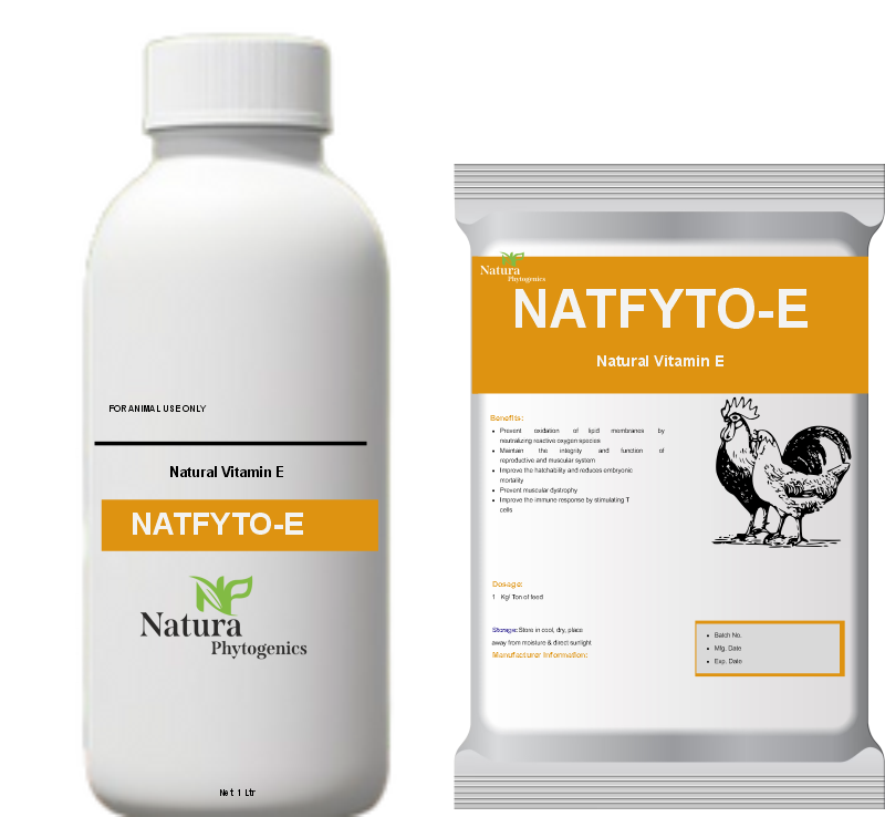 NATFYTO-E