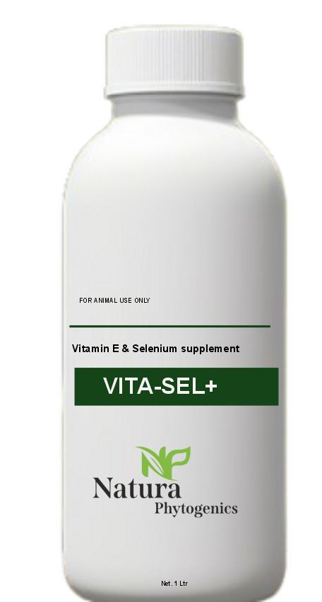 VITA-SEL+
