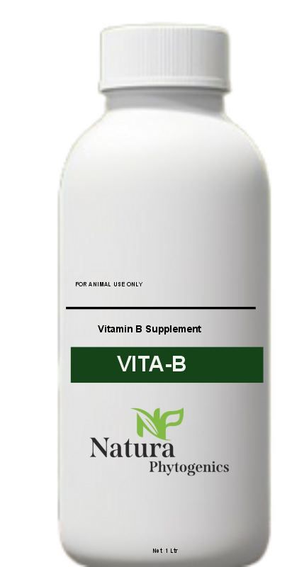 VITA-B