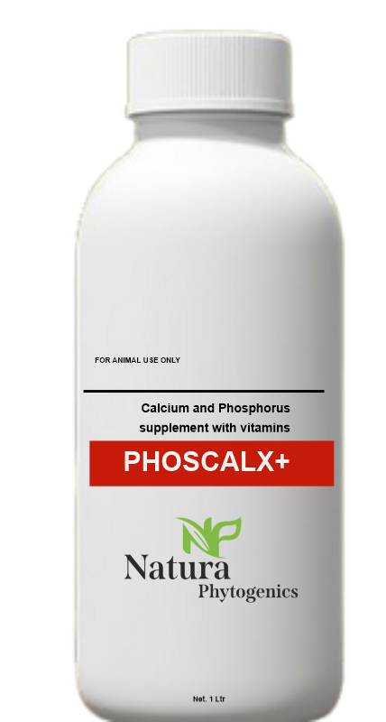 PHOSCALX+
