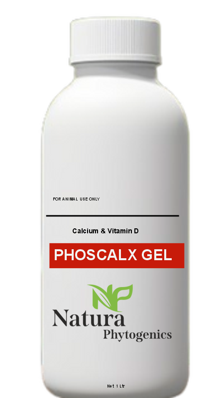 PHOSCALX GEL