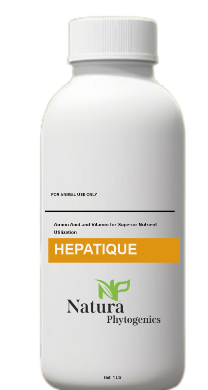 HEPATIQUE