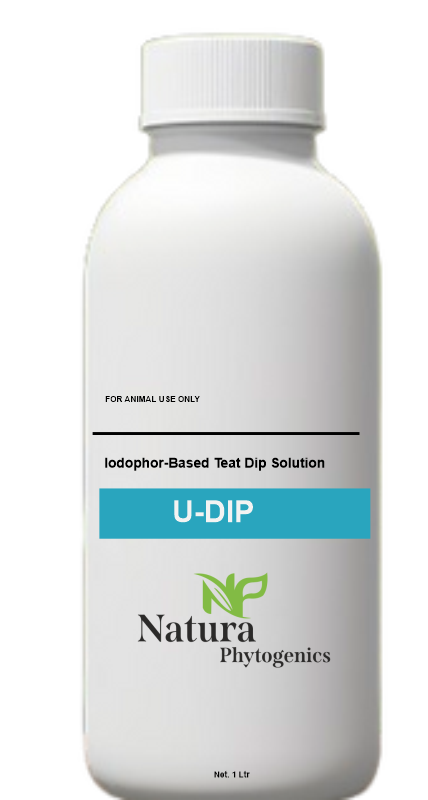 U-DIP