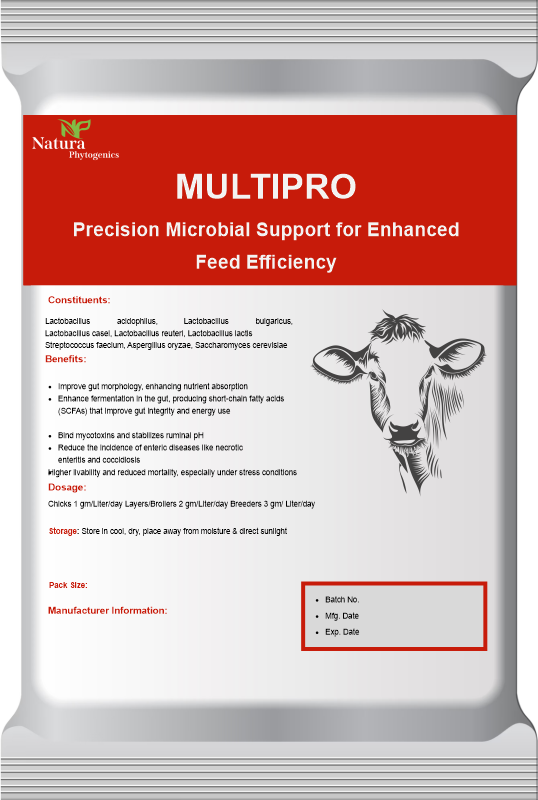  MULTIPRO